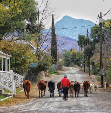 A Karoo farm full of fireside tales