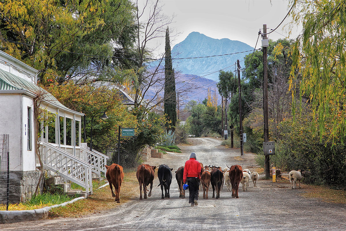 A Karoo farm full of fireside tales