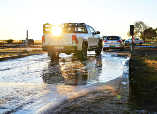 Nampo 2026 welcomed 81 822 visitors over four days