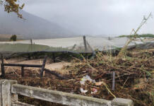 Western Cape farmers describe May floods as ‘worst in a century’
