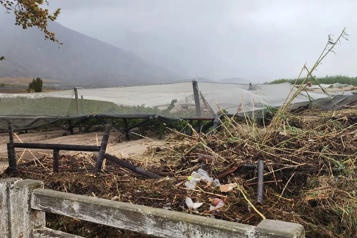 Western Cape farmers describe May floods as ‘worst in a century’