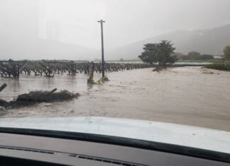 Severe cold front leads to flooding and damage on Western Cape farms