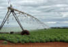 Solar-boosted irrigation brings greater yields and efficiency