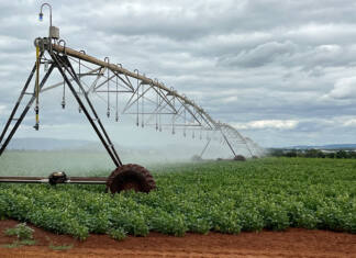 Solar-boosted irrigation brings greater yields and efficiency