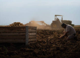 Eersteling Farm: everything starts with an opportunity