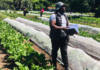 Growing a future rooted in agroecology and community-led farming