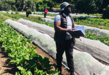 Growing a future rooted in agroecology and community-led farming
