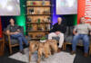 Questions to ask before buying machinery at Nampo
