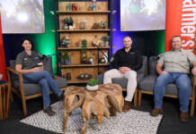 Questions to ask before buying machinery at Nampo