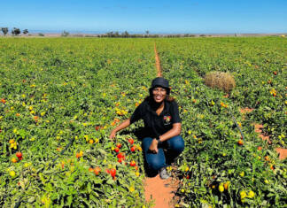 Strengthening Africa’s fresh produce supply chains