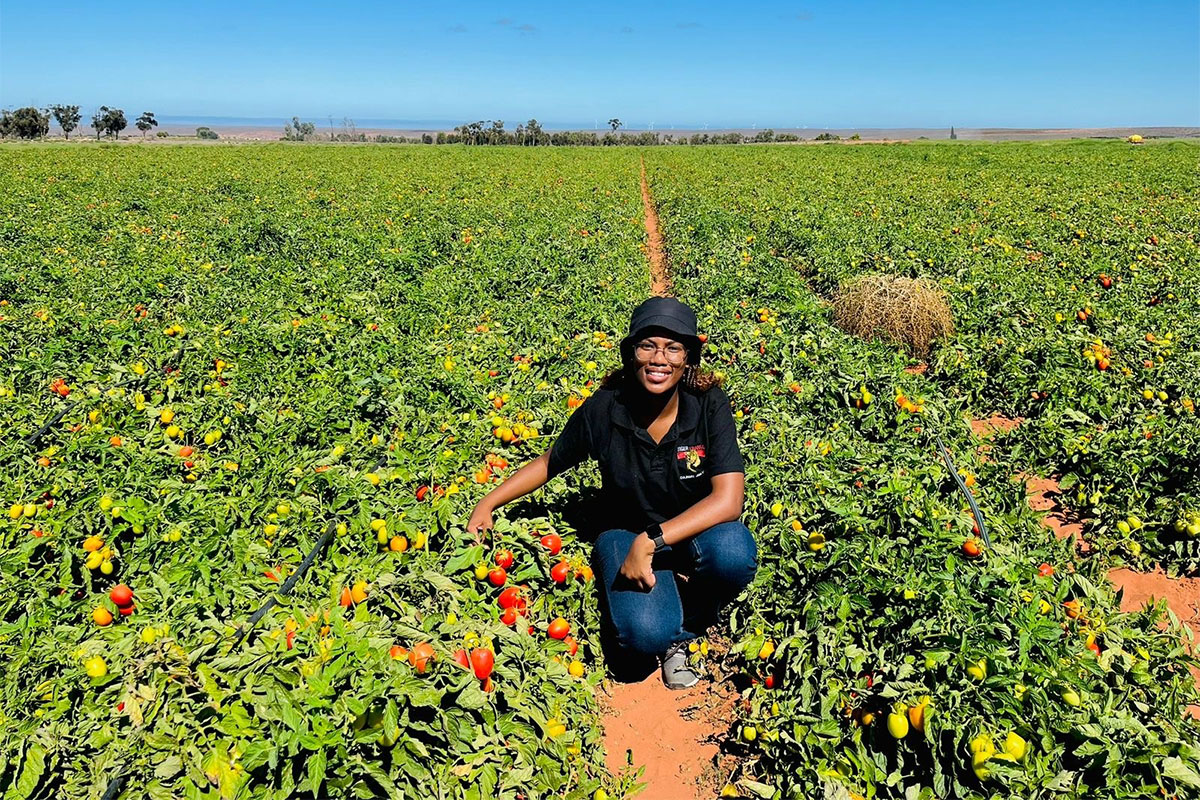 Strengthening Africa’s fresh produce supply chains
