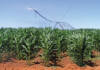 Precision agriculture pays off when backed by data and sound agronomy
