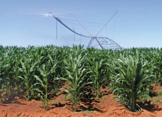 Precision agriculture pays off when backed by data and sound agronomy