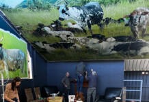 Breed societies get creative with displays at Nampo 2026