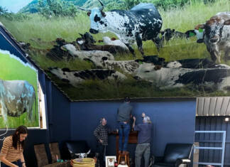 Breed societies get creative with displays at Nampo 2026