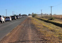 Traffic chaos and reckless driving frustrate Nampo visitors