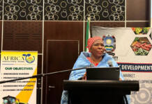 Eastern Cape pushes agro-processing, local procurement at indaba