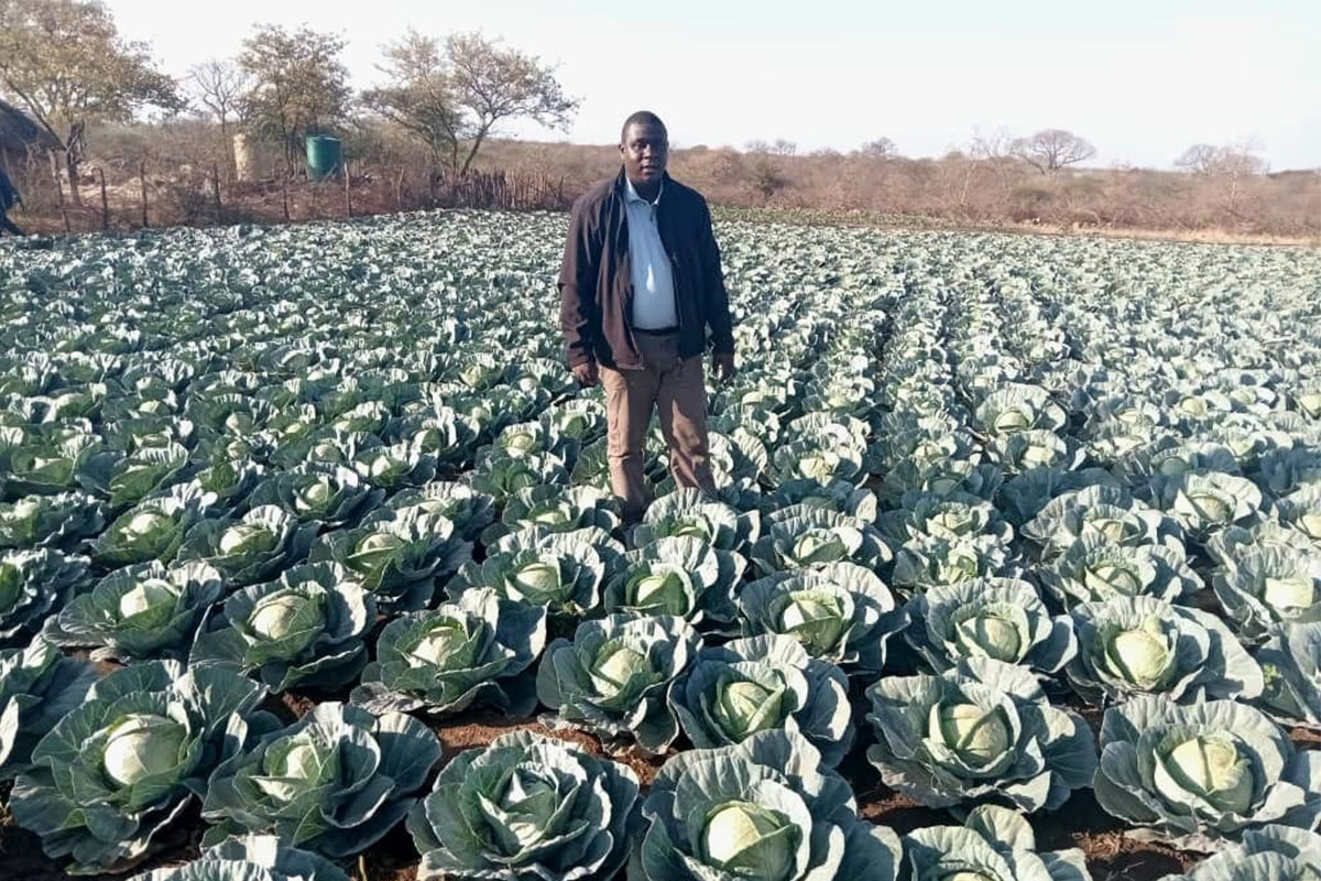 How Bulawayo youths reclaimed a wasteland with farming