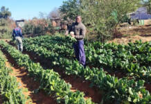 A new-generation farmer rooted in purpose