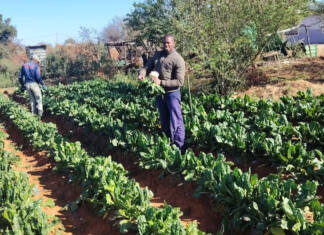 A new-generation farmer rooted in purpose