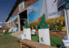 From genetics to storage: crop production lessons from Nampo 2026