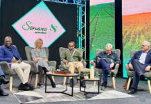 Nampo panel calls for stronger, strategic agricultural messaging