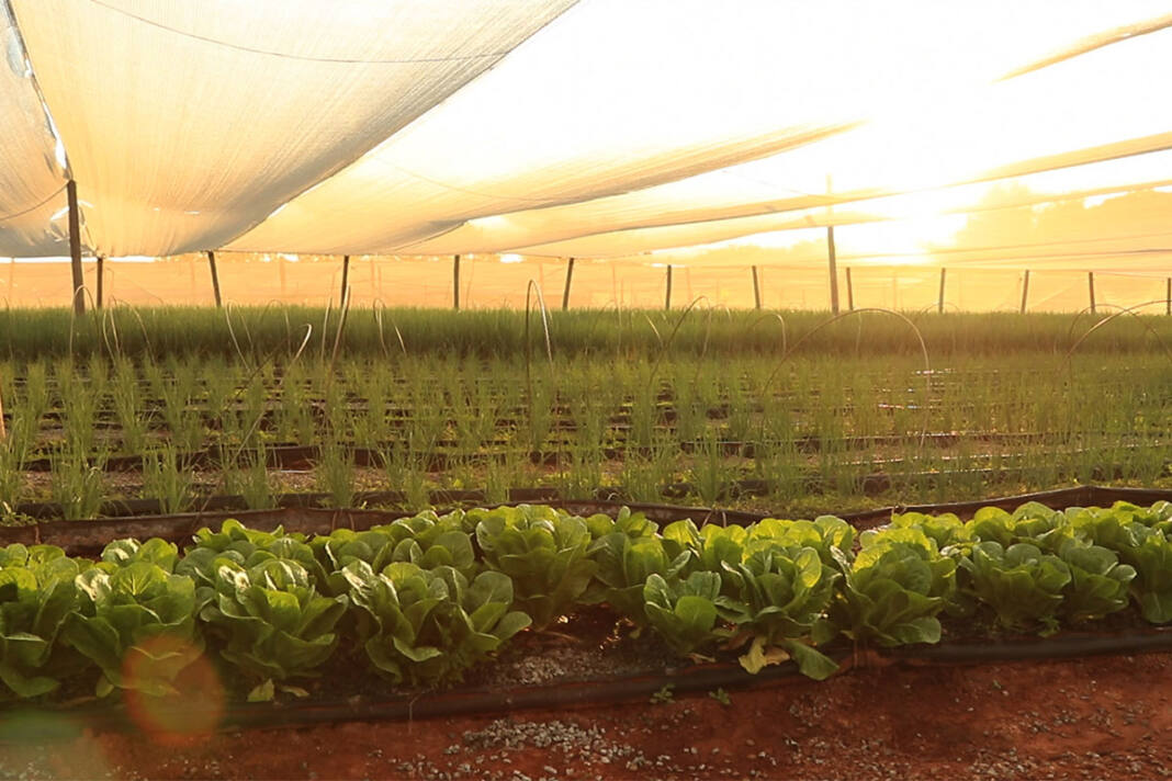 Redefining irrigation efficiency with systems thinking
