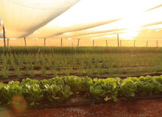 Redefining irrigation efficiency with systems thinking