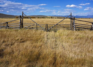 Zimbabwe to return 67 foreign-owned farms