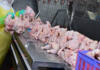 Court battle looms over US chicken import quota