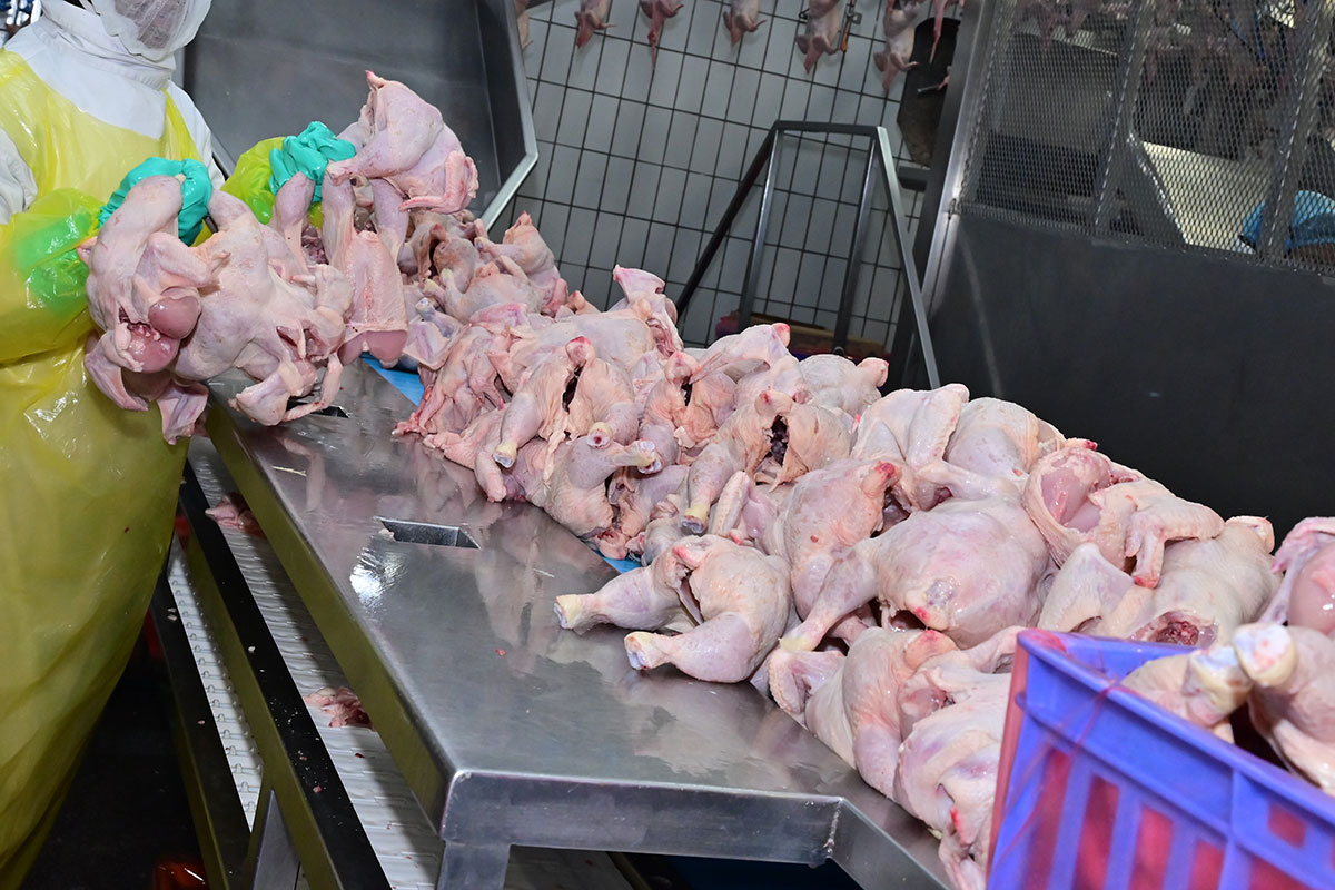 Court battle looms over US chicken import quota