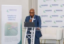 The Kgodiso Development Fund’s vision for black farmers
