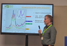 Nitrogen-use efficiency in wheat: not a one-size-fits-all solution