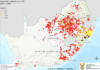 More than 2 200 active FMD outbreaks recorded in South Africa