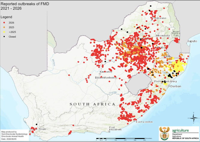 More than 2 200 active FMD outbreaks reported in South Africa