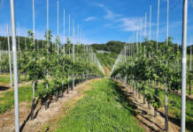 Agri competition offers young innovators a chance to go global