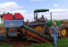 Ongoing investment turned Lucerne Fields into Botswana’s top carrot producer