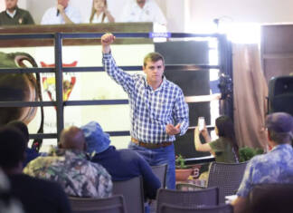 Bridging science, breeding, and the auction ring in modern livestock production