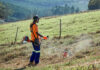 Winter vegetation management made easier with the Husqvarna 541RS