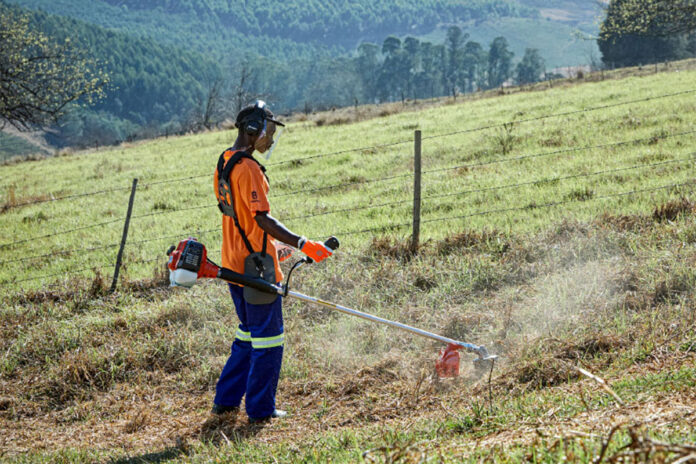 Winter vegetation management made easier with the Husqvarna 541RS