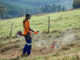 Winter vegetation management made easier with the Husqvarna 541RS
