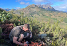South African project to explore the hidden value of fungi