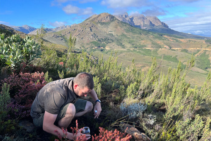 South African project to explore the hidden value of fungi