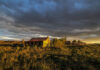 Staying on a sheep farm with a Zen twist