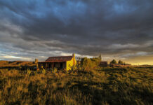 Staying on a sheep farm with a Zen twist