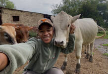 From curiosity to a passion for livestock farming