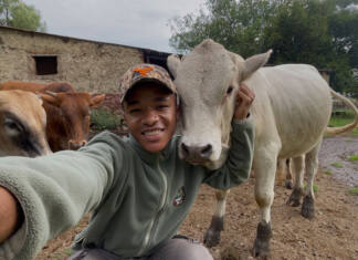 From curiosity to a passion for livestock farming