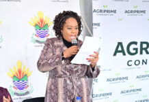 Youth urged to start small and seize opportunities in agriculture