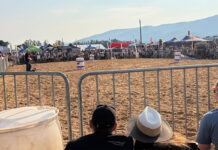 Eastern Cape festival continues to build on agricultural, conservation roots
