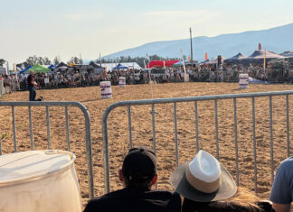 Eastern Cape festival continues to build on agricultural, conservation roots